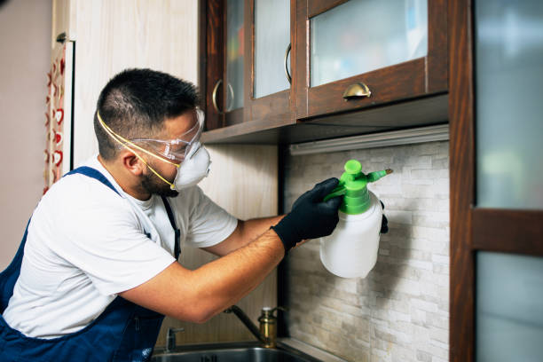 Best Best Pest Control Companies  in Quinnipiac University, CT