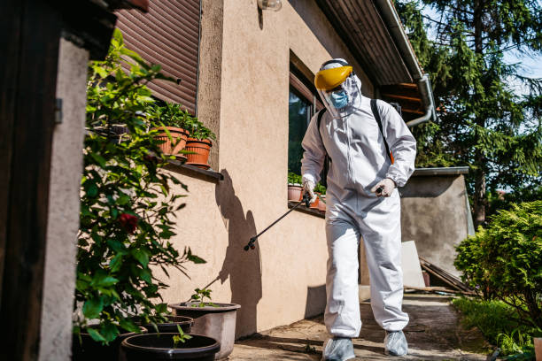 Best Ant Control Services  in Quinnipiac University, CT