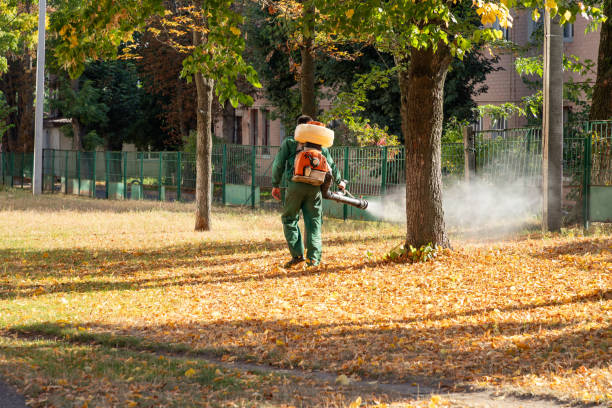 Best Affordable Pest Control Services  in Quinnipiac University, CT