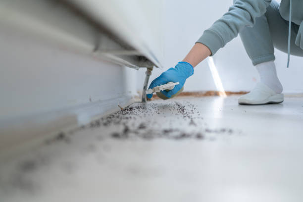 Best Rodent Control Near Me  in Quinnipiac University, CT