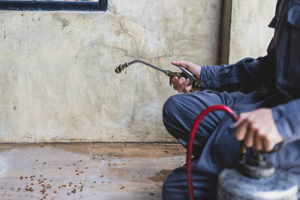 Best Wasp Removal Services  in Quinnipiac University, CT