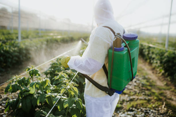 Best Residential Pest Control  in Quinnipiac University, CT